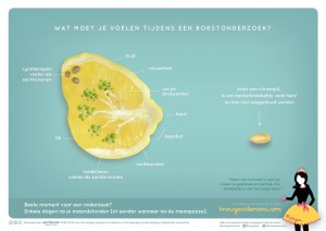 Ken je citroenen anatomie
